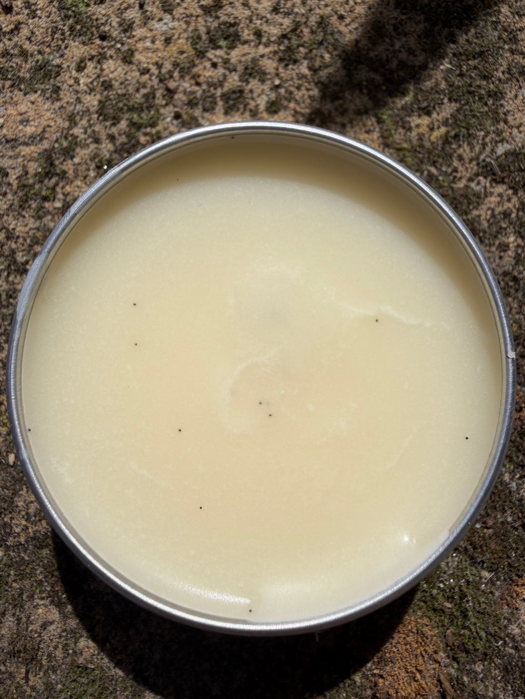 Madagascar Vanilla Tallow Lip Balm 💋